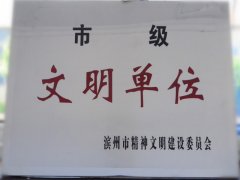 喜訊！公司榮獲“市級文明單位”稱號